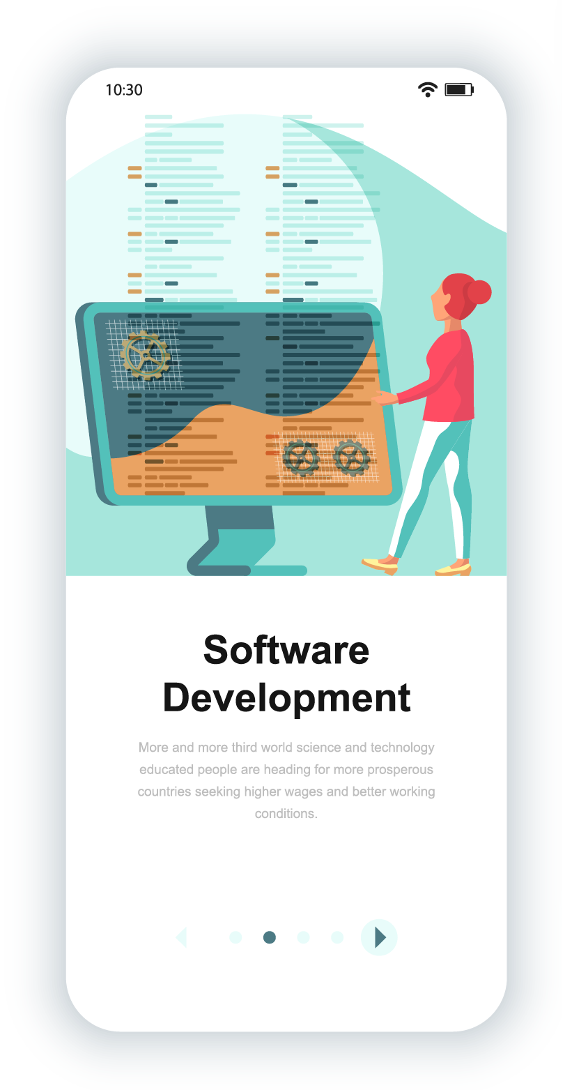 software.png